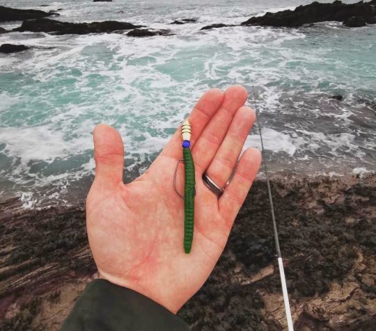 Que ce soit sur ce style de leurre ou bien sur des leurres en forme de poissons, le montage texan est quasi indispensable pour cette pêche