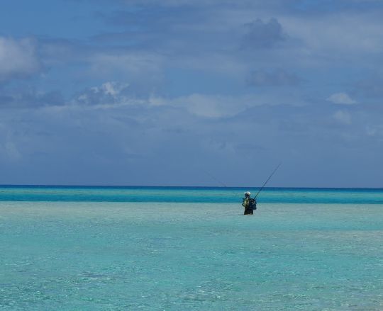 Les premiers lancers sur les flats, avec tout le plaisir de la pêche à vue