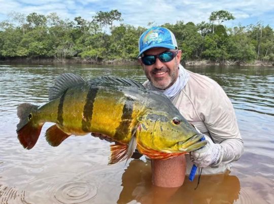 Le peacock-bass est le numéro 1 pour beaucoup de pêcheurs !