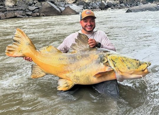 Le rio Guayabero est exceptionnel pour la pêche du jau.