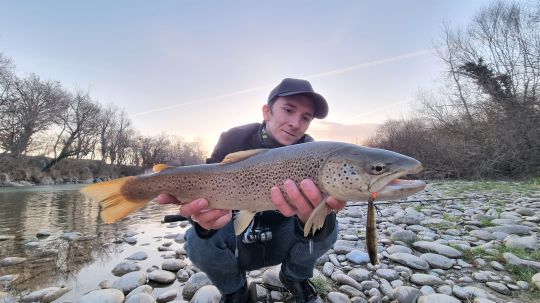 De très belles truite à pêcher sur le Bas Verdon