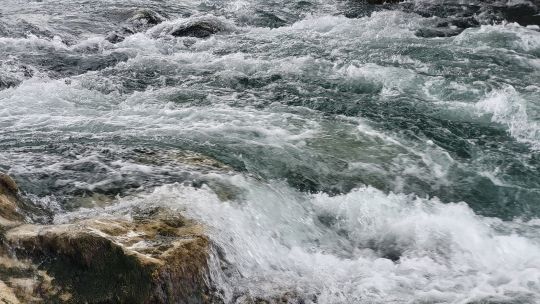 Protéger les milieux aquatiques