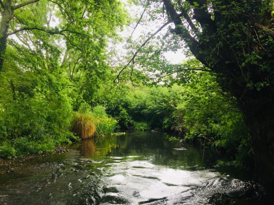 L'Aven offre des parcours diversifiés où la pêche à la mouche peut se pratiquer avec des cannes courtes