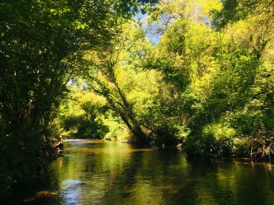 L'Aven propose de nombreux parcours tous aussi beaux les uns que les autres