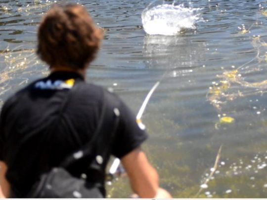 La pêche en surface procure un maximum de sensations!