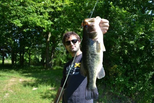 Petit leurre ne rime pas forcément avec petit poisson comme en atteste ce black-bass de 50cm