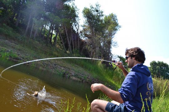 La pêche en surfac eest très ludique et permet de cibler de nombreuses espèces