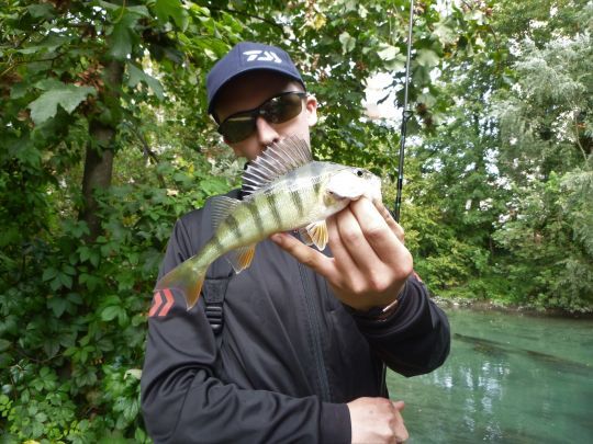 De nombreux poissons à pêcher
