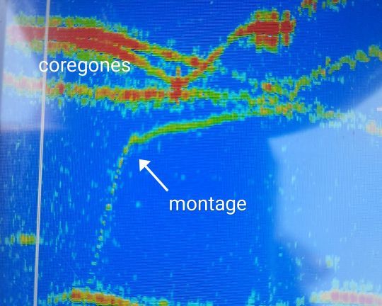 Le sondeur, élément novateur