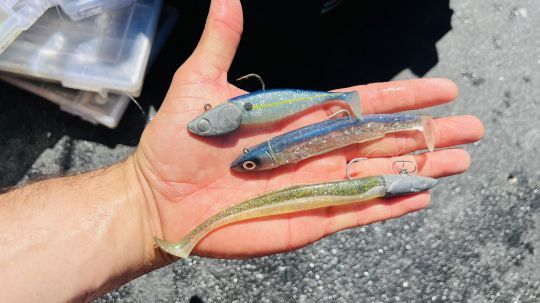 Ma sélection de leurres à paillettes qui m'ont apporté d'excellents résultats lors de la dernière sortie de pêche au bar.