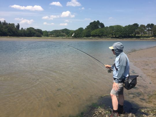 Le mulet est un poisson amusant à prendre à la mouche à condition d'adapter son matériel