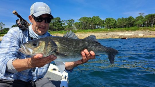 Superbe bar pour l'auteur .. des poissons très combatif qui sont toujours un régal sur une canne à mouche! ©pierrerigaleau