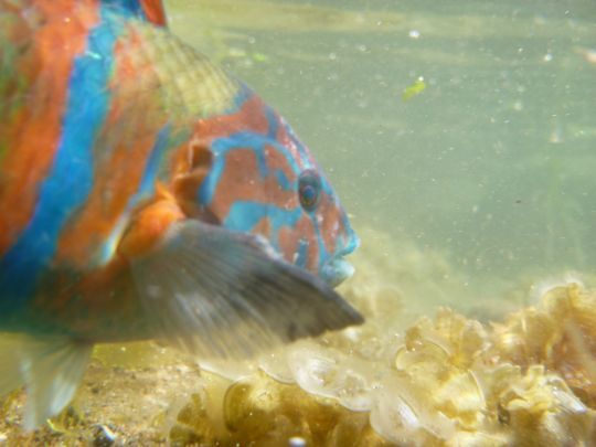 Une modification des aires de répartition