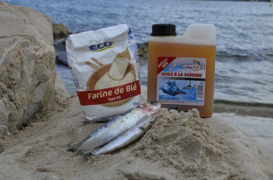 Pêcher le sar à la pelote