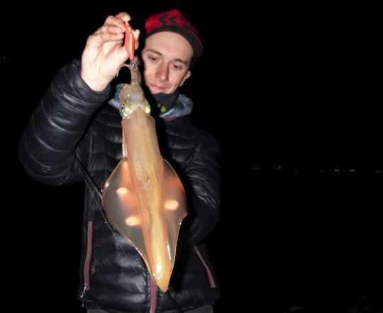 Trouver les bons spots à calamars.