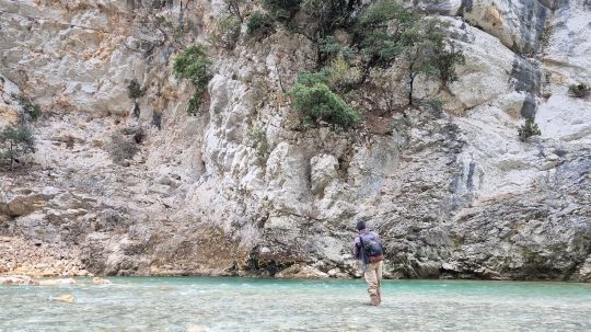 Profiter de la beauté de la nature pour mieux gérer sa frustration.
