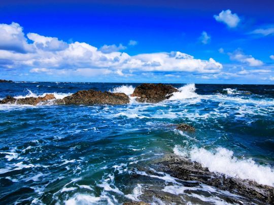 Lorsque la mer est agitée, les poissons se rapprochent du bord