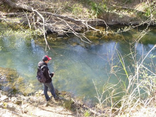Il n'est pas rare de rencontrer des serpents au bord de l'eau.
