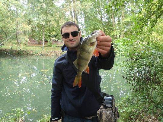 Une perche pêchée le long de la berge sur la partie amont