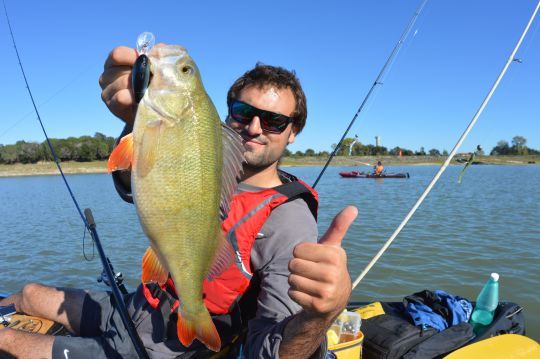 perche en power fishing leurrée au crankbait
