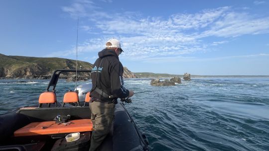 Une récupération rapide est souvent nécessaire par beau temps, et lorsque les eaux sont claires, afin de ne pas laisser le temps aux poissons d'identifier la supercherie que nous leur présentons.