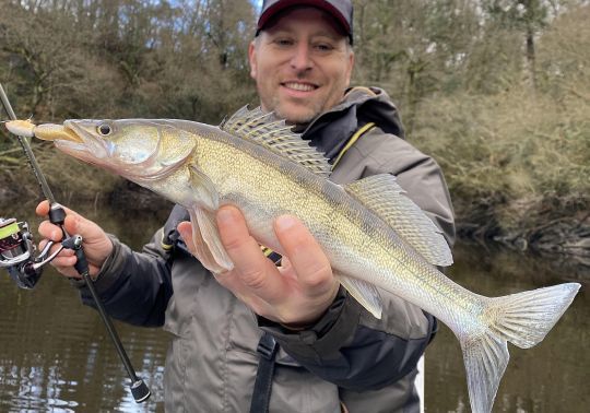 Le Sandre , espèce allochtone, mais qui ne créé pas de déséquilibre.