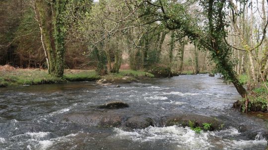 Les besoins des poissons dépendent surtout de la température de l'eau qui régit la respiration et leur activité alimentaire. Il faut souvent pêcher le moins rapide du plus rapide, ou le plus rapide du moins rapide!