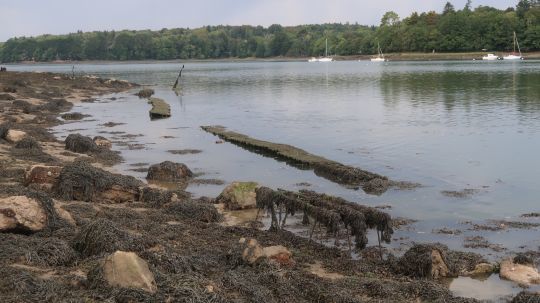 Il n'y a aucun doute que les bars seront présents à un moment de marée sur ce poste. Une pointe léchée par un courant. Des rochers et parcs à huitres. L'expérience vous dira avec quel coef et si le poste est meilleure à la montante ou la descendante.