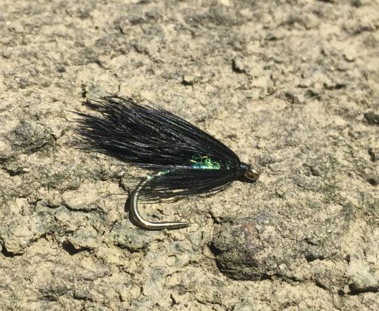 Une variante de la cormorant de base, avec un corps plus flashy.