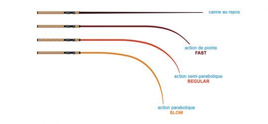 Les différentes actions des cannes à pêche