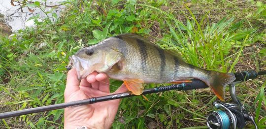 S'amuser même en hiver.