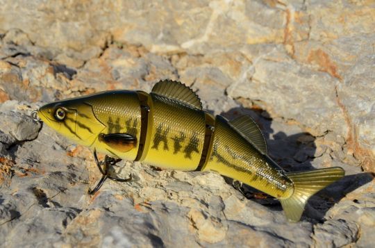 Utilisez des leurres conséquents.