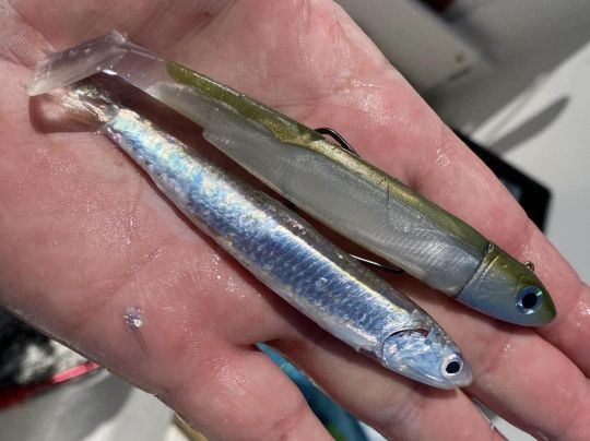 Tenez toujours compte de la taille des proies chassées pour sélectionner votre leurre.