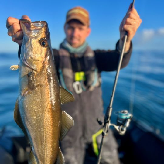 Face à ce magnifique lieu jaune, la Statement 724 a encore montré toute sa capacité. Une touche discrète et un ferrage sec ont permis de piquer ce poisson.
