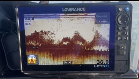 Capture d'un sondeur montant un très gros banc de dorades.