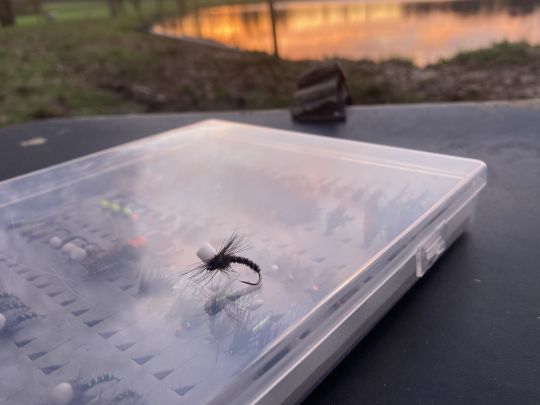 La mouche du jour pour moi. Je piquerai une douzaine de poisson avec cette émergente noire.
