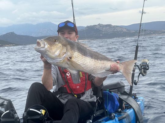 Un joli denti pris avec la technique du Fireball.