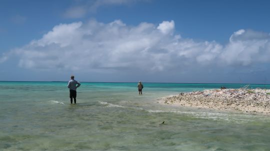 Connaitre les secteurs de passage et savoir reconnaitre un bonefish demande un peu de temps, et il faut répéter les sorties ou voyages pour s'améliorer dans la quête de ce formidable poisson de sport