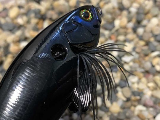 Le Slick bait mélange plastique dure et mou.