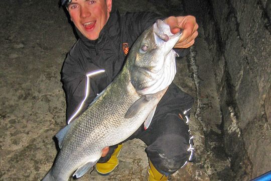 Je traque les gros bars du bord depuis près de 25 ans
