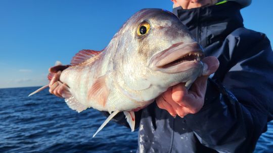 Le matériel a son importance, surtout sur les gros poissons.