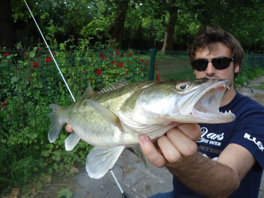 Le parcours est aussi propice à la traque du sandre du bord