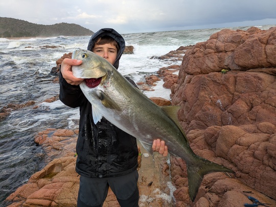 Contrairement aux idées reçus il est possible de pêche le tassergal en hiver en Corse