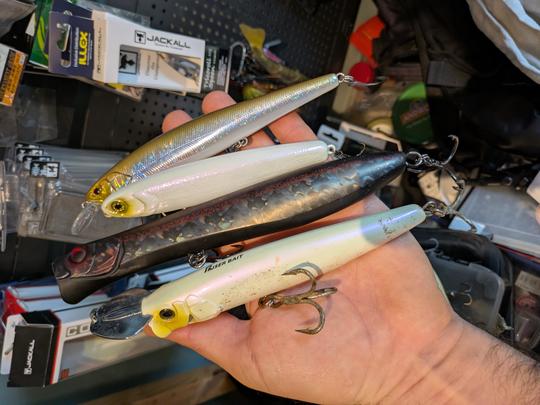 Exemple de leurre efficaces sur le tassergal