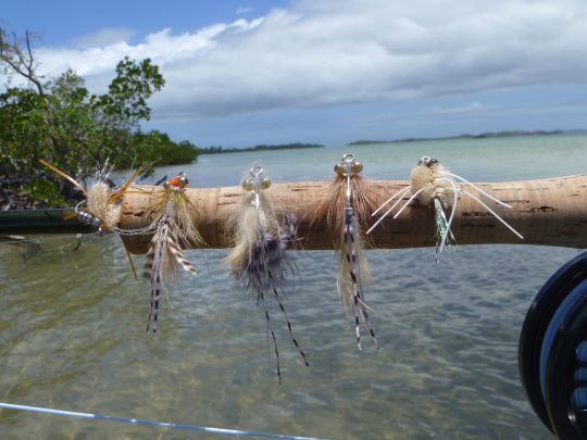 Les bonefish se nourrissent de crabes et de crevettes. Ici de grosses bouchées pour les bonefish trophées de Nouvelle Calédonie