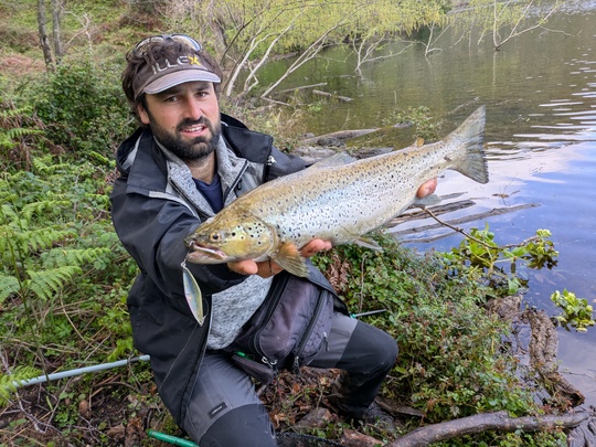 La Tricoroll Spoon fait partie des meilleures ondulantes du marché