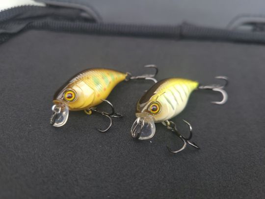 Le Chubby s'offre une nouvelle taille plus petite, dans la philosophie du downsizing