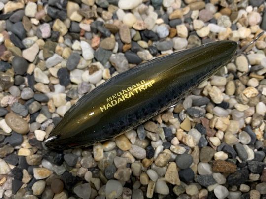 Sa largeur est peu commune.