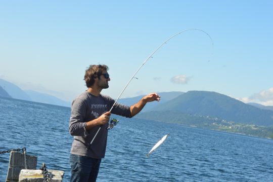 Les maquereaux sont combatifs et plaisant à combattre sur du matériel léger