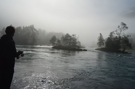 Les rivières sont magnifiques